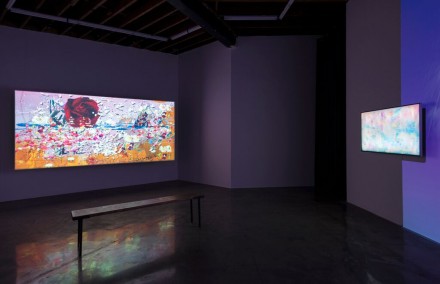 Petra Cortright 'Niki Lucy Lola Viola' (Installation View)