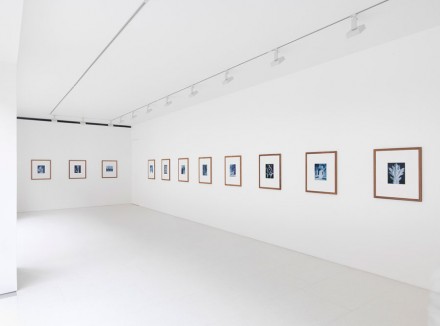 Thomas Ruff (Installation View) at Gagosian Gallery (Photo by Mike Bruce)