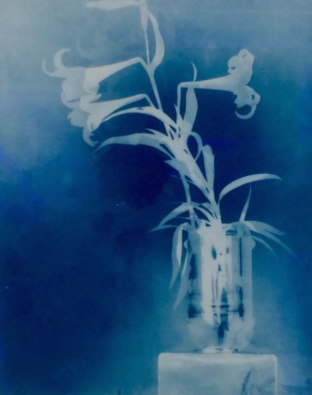 Thomas Ruff, Negostil (2015)