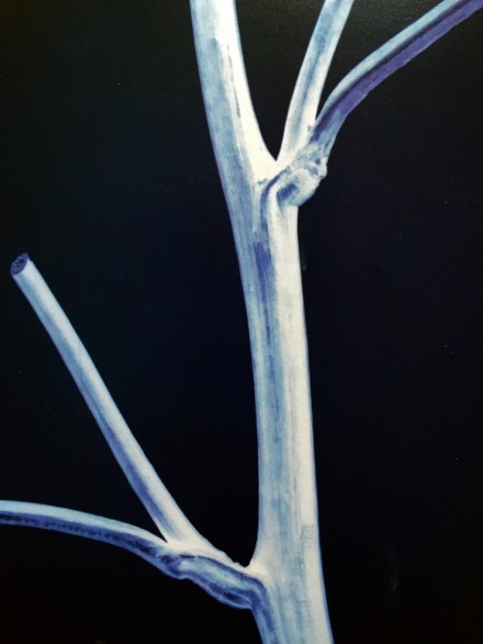 Thomas Ruff, Negostil 07 (2015)