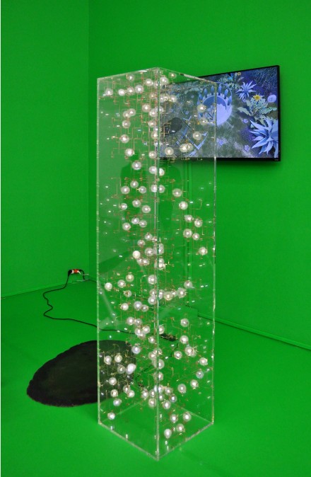 swissinstitute_pavillondelespritnouveau_sophiekitching20