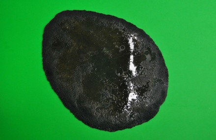 swissinstitute_sophiekitching3