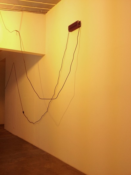 David Douard, bat-breath battery (Installation View), via Daphné Mookherjee for Art Observed