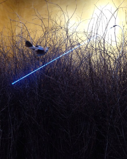 Mario Merz, Son en cercle, arbres en cercle, at Pietro Sparta FIAC