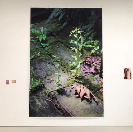Wolfgang Tillmans, PCR (Installation View), via Art Observed