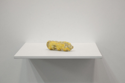 David Adamo, Untitled (Corn) (2015), via Rodolphe Janssen