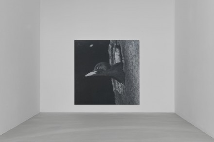 Rudolf Stingel (Installation View), via Sadie Coles HQ