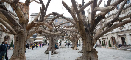 Ai Wewei, Tree (2009-2015), via Royal Academy