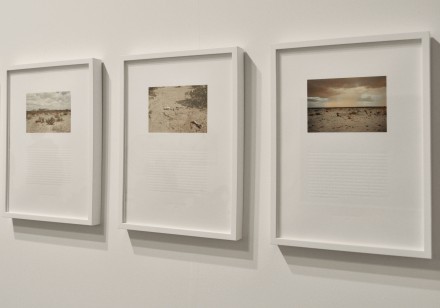 Melik Ohanian at Chantal Crousel