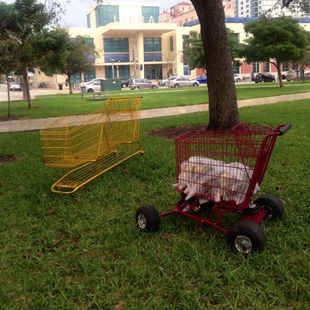 Rubén Ortiz Torres, Collector's Backyard Boogie (2015)