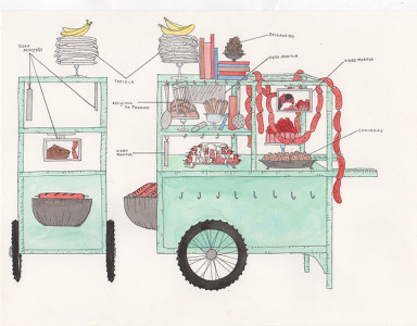 Dana Sherwood, Foodcart for Brasilia (2015)
