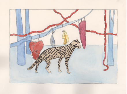 Dana Sherwood, Ocelot with Hanging Meat Brasilia (2015)