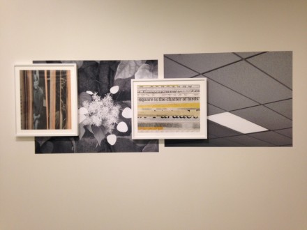 Erica Baum, Picton Ceiling White Petals Leopard Square Chatter (2014)