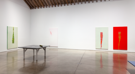 Tauba Auerbach, Projective Instrument (Installation View)