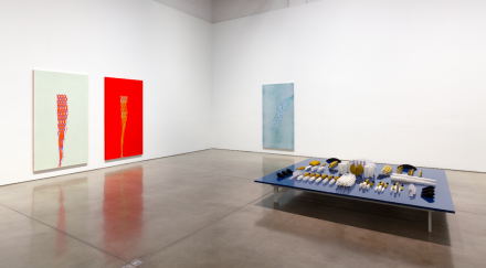 Tauba Auerbach, Projective Instrument (Installation View)