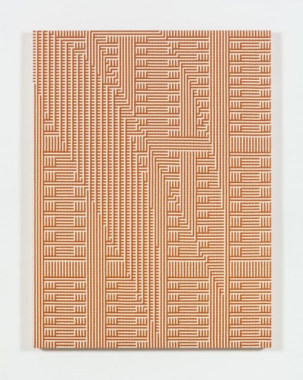 Tauba Auerbach, Shadow Weave - Metamaterial Slice Ray (2013)