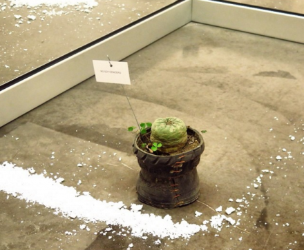 Abraham Cruzvillegas, El Taller de los Viernes (2016), via Art Observed