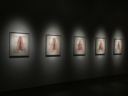 Berlinde De Bruyckere, No Life Lost (Installation View)