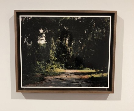 Curran Hatleberg, via Art Observed