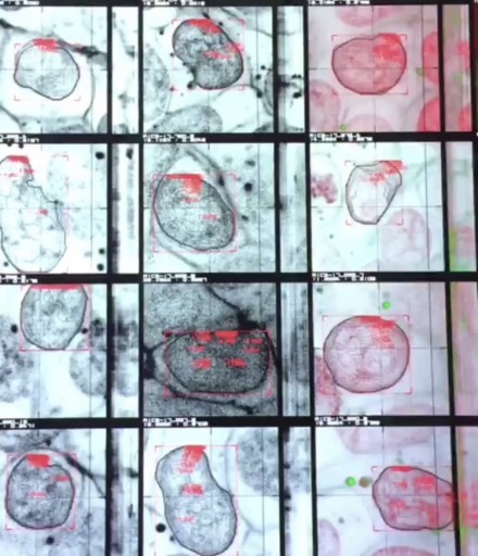 Ryoji Ikeda, via Art Observed