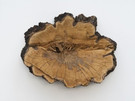 Virginia Overton, Untitled (Maple Cleavage) (2019), via Bortolami