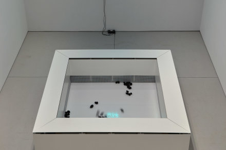 David Shrigley, FLUFF WAR (Installation View), via Anton Kern