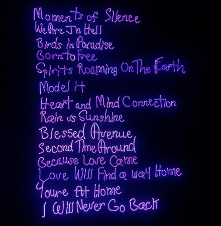 Jacolby Satterwhite, Birds in Paradise (2019)