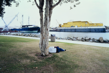Allan Sekula, Man sleeping under a eucalyptus tree, Embarcadero park, (SD) from Fish Story (1989-1995), via Marian Goodman