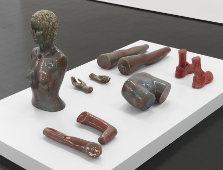 Mai-Thu Perret, Agua Viva (Installation View), via Galerie Barbara Weiss