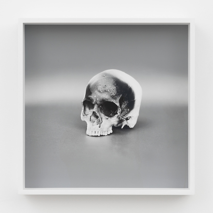 Douglas Gordon, Under My Skin(2019), via Eva Presenhuber