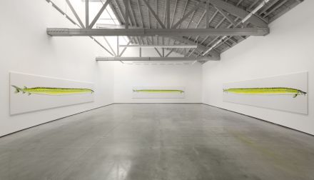 Calvin Marcus, GO HANG A SALAMI IM A LASAGNA HOG (Installation View), via David Kordansky