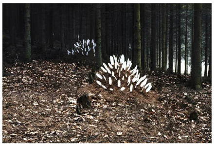 Lothar Baumgarten, Ameisenstaat (Ant Society) (1968), via Marian Goodman