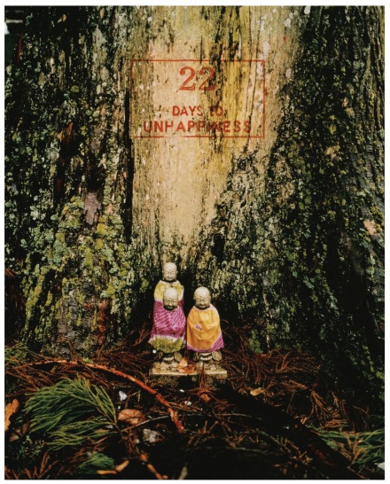 Sophie Calle, Exquisite Pain (Count Down - 22) (2000), via Paula Cooper