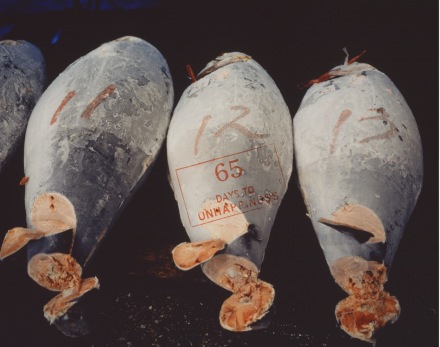 Sophie Calle, Exquisite Pain (Count Down - 65) (2000), via Paula Cooper