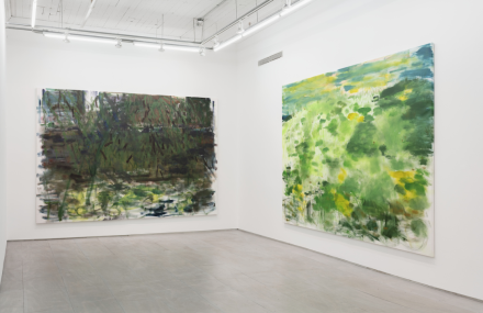 Trevor Shimizu, Landscapes (Installation View), via 47 Canal