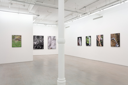 Michele Abeles, October (Installation View), via 47 Canal