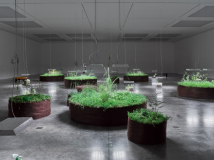 Danh Vo, Chicxulub (Installation View), via Art Observed