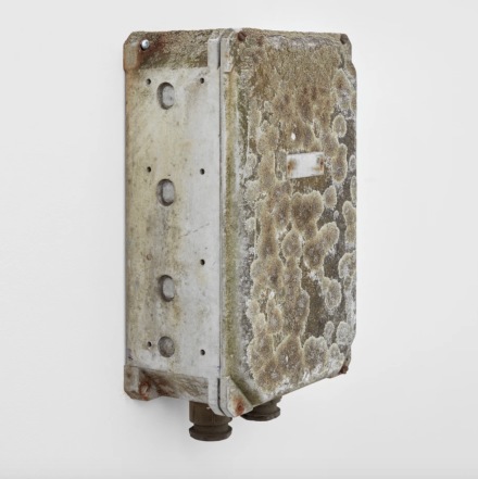 Klara Liden, Lichens (Junction Box) (2020), via Sadie Coles