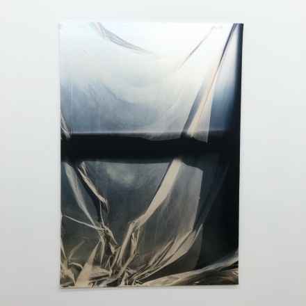 Elisa Sighicelli, Untitled (1138) (2020), via Art Observed