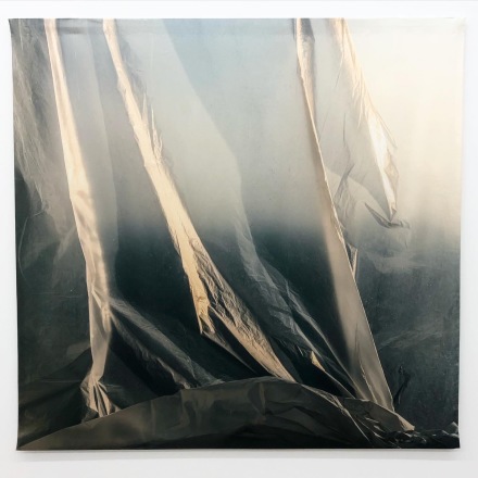 Elisa Sighicelli, Untitled (1151) (2020), via Art Observed