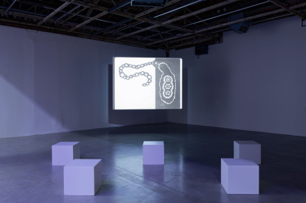 Len Lye, Tusalava, (1929), via Palais de Tokyo