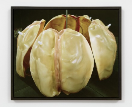 Lucas Blalock, Rubber Dog Toy Insides, multigraph (2020), via Eva Presenhuber