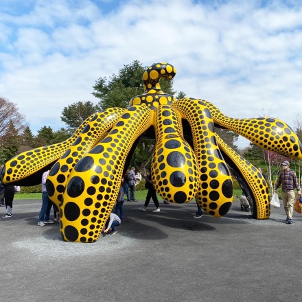 Yayoi Kusama, Cosmic Nature (Installation view), via Art Observed