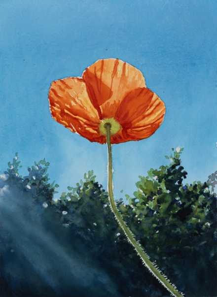 Tim Gardner, Cali Poppy (2021), via 303 Gallery