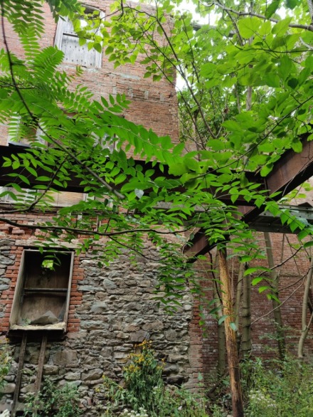 c511f5a8-e411-4316-b4cf-8d16d972d7d5_adobespark