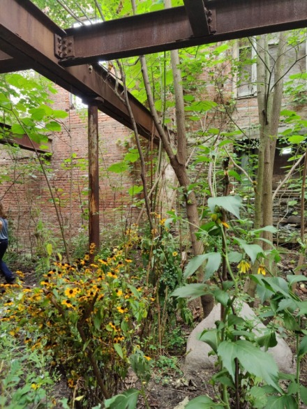 strongroom4_adobespark