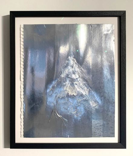 Not Vital at Alma Zevi, via Art Observed