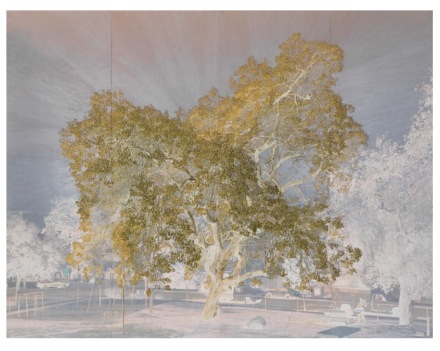 Tacita Dean, Purgatory (2nd Cornice) (2021), via Marian Goodman