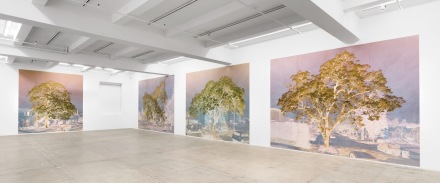 Tacita Dean at Marian Goodman (Installation View), via Marian Goodman