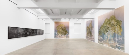 Tacita Dean at Marian Goodman (Installation View), via Marian Goodman